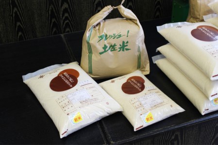 コシヒカリ 10kg 令和4年産 米