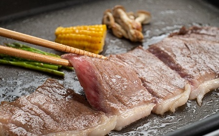 松阪牛 ナイアガラステーキ 450g(約150g×3枚) 牛肉 ステーキ【3-93】