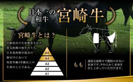 ＜みやざき和牛 焼肉用 1kg＞入金確認後、翌月末迄に順次出荷【c437_hn_x1】