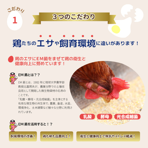 かっぱの健卵 15個入り【大熊養鶏場】たまご 卵 玉子 タマゴ 生卵 こだわり 卵かけご飯 TKG 国産 お取り寄せ 北海道 比布町 ぴっぷ 1006-001
