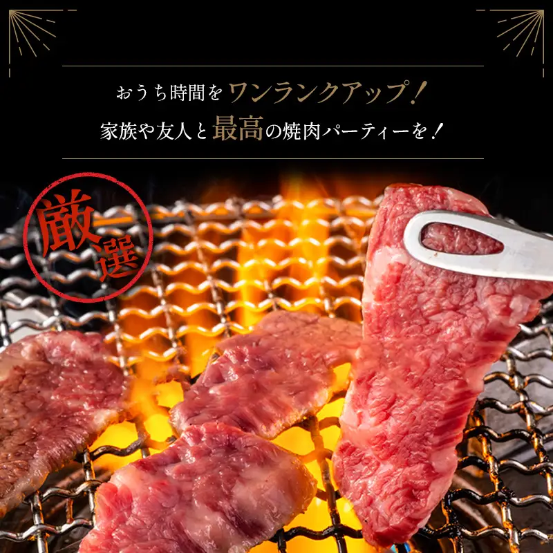 人気の宮崎県産黒毛和牛バラエティー焼肉セット 500g【B492】