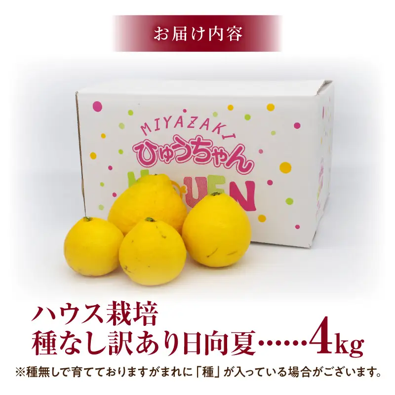 日向夏 種無し 日向夏[訳あり 4kg 2027年発送先行予約] | 宮崎県宮崎市