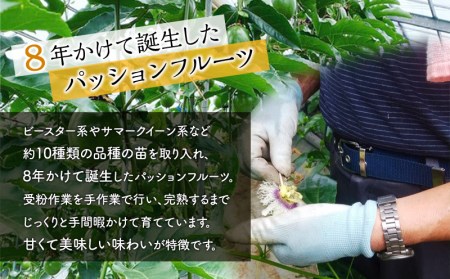 フルーツ パッションフルーツ ジャム フルーツ [《2026年発送》 数量・期間限定 宮崎県産 フルーツジャム セット]