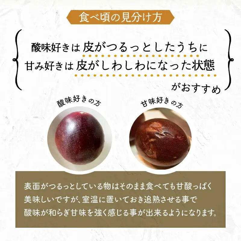 フルーツ パッションフルーツ フルーツ[《2026年発送》 数量・期間限定 Ｍサイズ 2kg 宮崎県産]