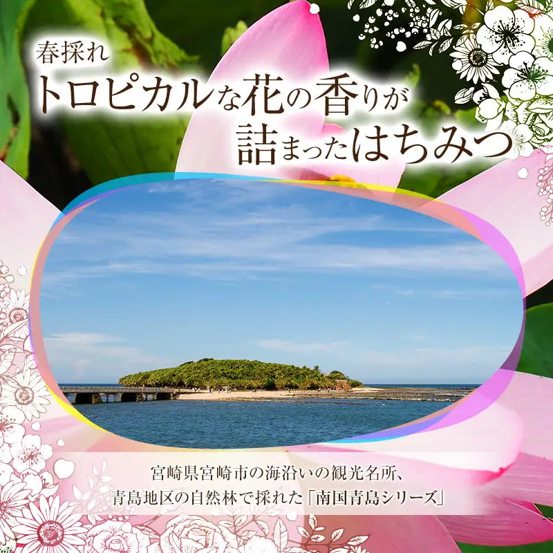 【最速便】【数量・期間限定】宮崎産非加熱ハチミツ(南国青島シリーズ)2種 ブォンミエーレ春のハチミツ160g×2本セット 国産 ハチミツ 蜂蜜 はちみつ 非加熱 2本 セット 詰め合わせ 非加熱はちみつ 非加熱処理 食べ比べ 味比べ ギフト 瓶 調味料 パン トースト グルメ お取り寄せ