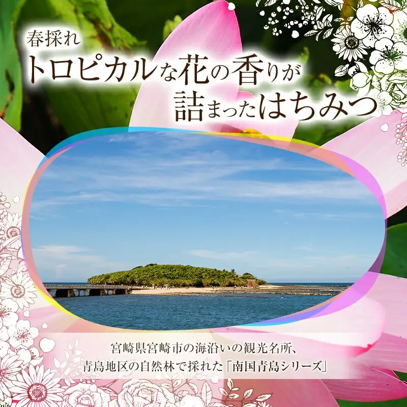 【最速便】【数量・期間限定】宮崎産非加熱ハチミツ(南国青島シリーズ)2～3種 ブォンミエーレ春のハチミツ160g×3本セット 国産 ハチミツ 蜂蜜 はちみつ 非加熱 3本 セット 詰め合わせ 非加熱はちみつ 非加熱処理 食べ比べ 味比べ ギフト 瓶 調味料 パン トースト グルメ お取り寄せ