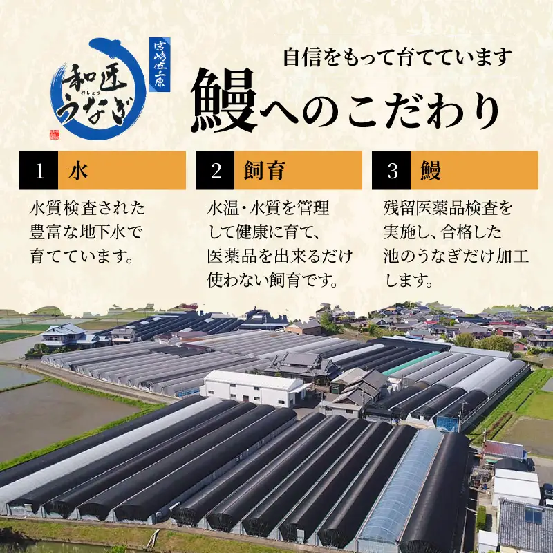 うなぎ 蒲焼 うなぎ[国産 10パック 和匠うなぎ 備長炭手焼き 1kg]