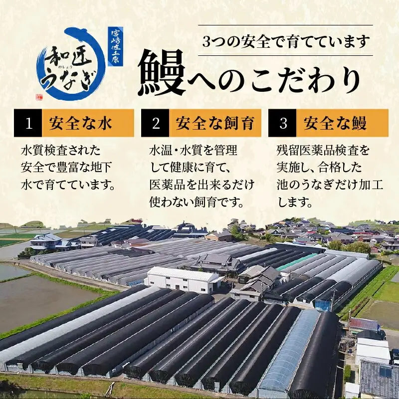 うなぎ うな丼の素 うなぎ[国産 10袋 和匠 備長炭手焼き 1kg]