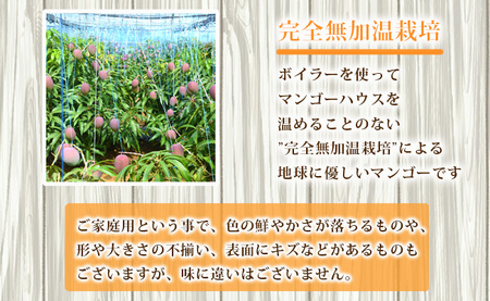 【2027年発送】【数量限定】徳之島 天城町産 完全無加温 完熟 マンゴー 家庭用 2kg