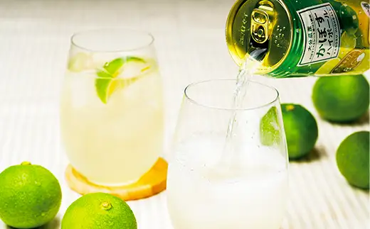 かぼす ハイボール 48本 本格 辛口 【阿部辰酒舗】 糖類 プリン体 ゼロ 0 アルコール8％ 果汁8% 九州 大分県 カボス ＜084-007＞