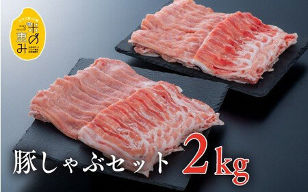 JA-04 【牛・豚・鶏】お楽しみ肉の定期便 年3回