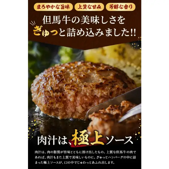 【累計5,000個突破！】但馬牛経産牛ハンバーグ（150g×5個）010AA09N.／個包装 牛肉 黒毛和牛 100% 国産 経産牛 和牛 赤身 味付け ほくぶ バーベキュー bbq キャンプ アウトドア 焼肉 小分け 簡単調理 セット 詰め合わせ 詰合せ 冷凍 お弁当 おかず 惣菜 但馬牛 経産牛