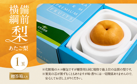 梨 2026年 備前横綱梨（あたご梨） 1玉 (1～1.5kg) 贈答箱 【11月中旬～12月下旬頃発送】
