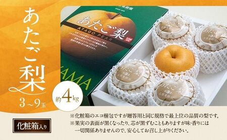 梨 2026年 先行予約 あたご梨 3～9玉 合計約4kg 化粧箱【11月中旬～12月下旬頃発送】 