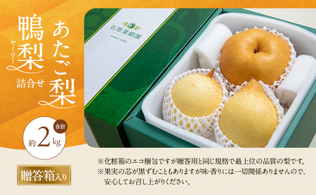 梨 2026年 先行予約 あたご梨・鴨梨（ヤーリー）詰合せ 合計約2kg あたご1～2玉 鴨梨2玉 贈答箱【11月中旬～12月下旬頃発送】