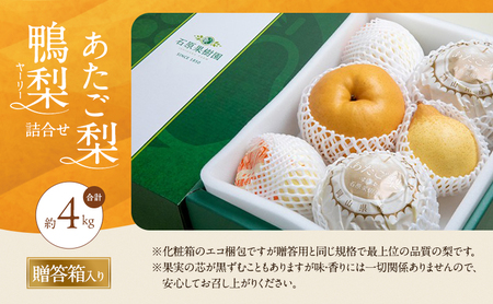 梨 2026年 先行予約 あたご梨・鴨梨（ヤーリー）詰合せ 合計約4kg あたご2～3玉 鴨梨3～7玉 贈答箱【11月中旬～12月下旬頃発送】 