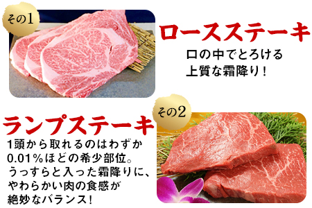 4種のステーキセット 1kg超 熊本あか牛 赤牛 ランプ イチボ ミスジ ロース 《60日以内に出荷予定(土日祝除く)》 st-p