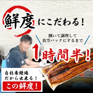 【12821】＜訳あり・不揃い＞東串良町のうなぎ蒲焼(無頭)(3尾・計400g以上、タレ・山椒付)【アクアおおすみ】