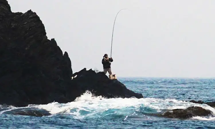 渡船 乗船券 [しば渡船] 愛南町 磯 渡し 釣り場 人気 釣り 釣り ポイント釣り 西海 スポーツ 南部 沖磯 ヤッカン アブセ 本バエ 大物 ハマチ グレ メジナ 石鯛