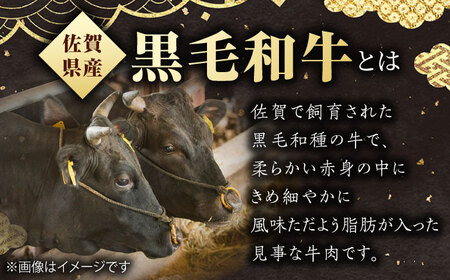 佐賀県産 黒毛和牛 サーロインステーキ 500g ステーキ [IAG016]