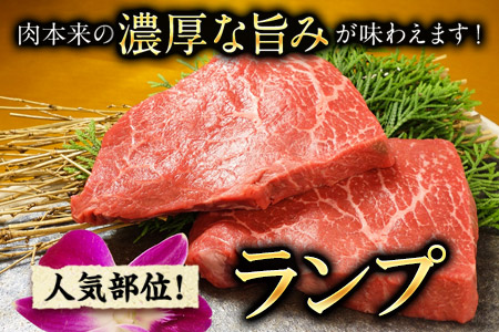 ランプステーキ 150g×2枚 希少部位 赤牛 あかうし《60日以内に出荷予定(土日祝除く)》 st-p