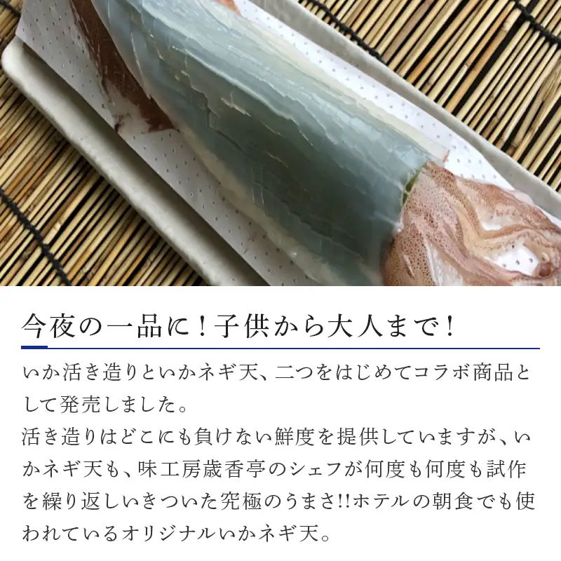 呼子のいか活造り1杯といかネギ天 25g×12個(合計300g)