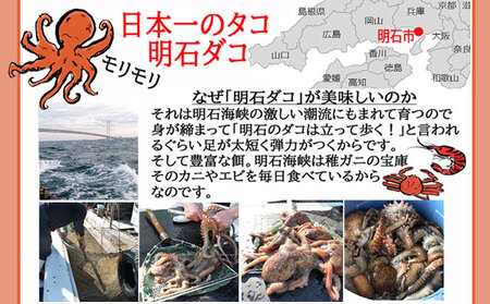 明石ダコのゆでダコ 丸ごと1匹と切り身で800g 魚貝類 タコ 