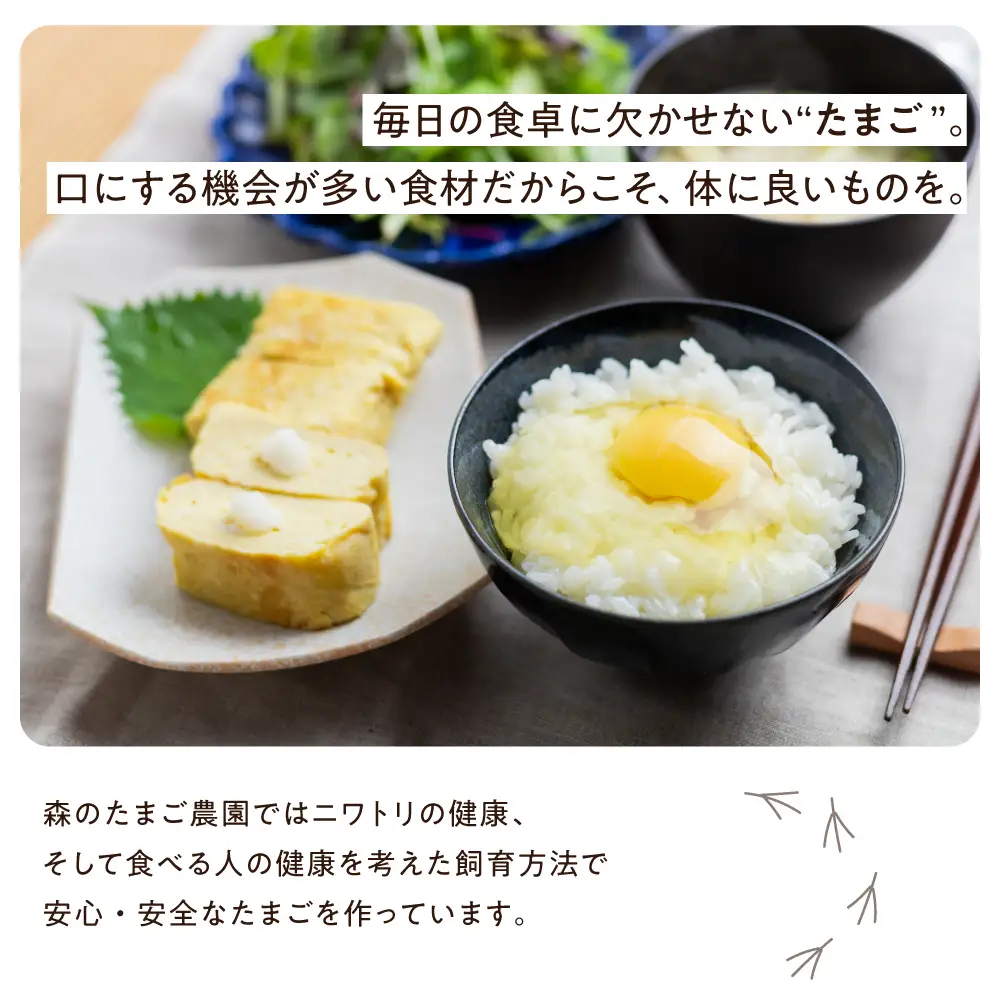 定期便 森のたまご農園 定期便 12ヶ月 30個  LW105