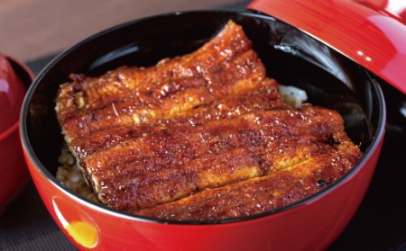 国産うなぎ 蒲焼 備長炭 炭火焼き 紀州職人焼 手焼き 大サイズ２枚(合計約300g)薬味付【北山グルメ市場】【miw100】