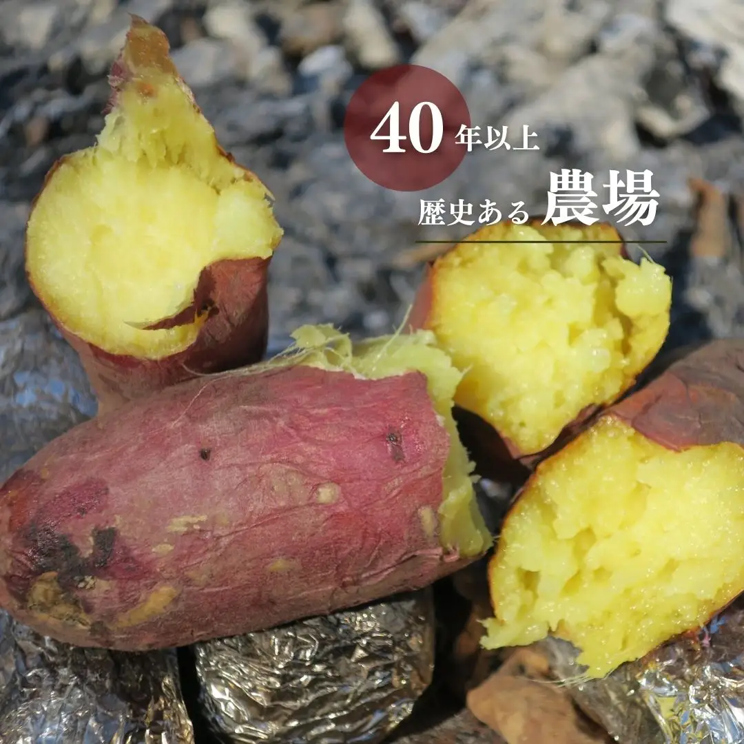 蜜がしたたる北海道産さつまいも「紅はるか」6kg