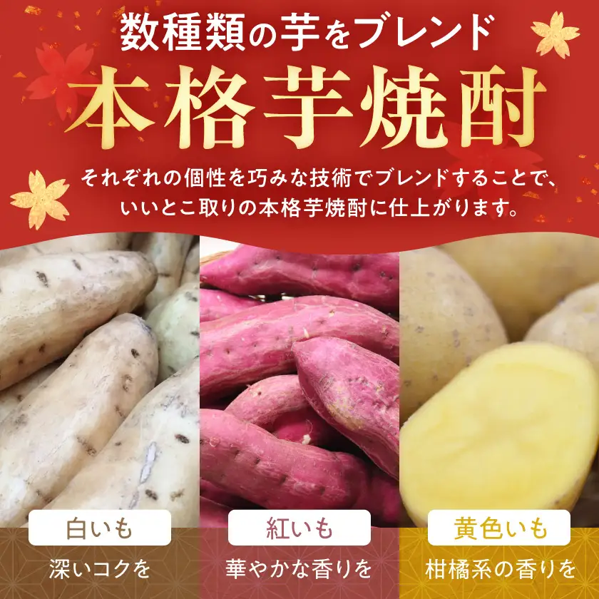 【大浦酒造】みやこざくら(20度)900ml×5本 ≪みやこんじょ特急便≫〔MJ-0770_99〕_(都城市) 甕壷仕込み 本格焼酎 華やかな香り 五合瓶