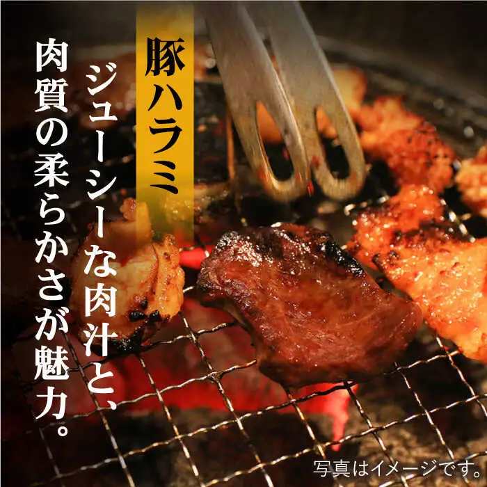 【味付】【大容量】ホルモン専門店の豪華！焼き肉5種セット計2kg（和牛ハラミ800g ／ 豚ハラミ・丸腸・小腸・シマ腸 各300g）【三田川ホルモン専門店】 [FAC016]