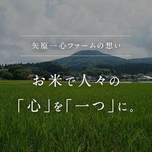 令和7年産 矢原一心ファーム 特別栽培米 ミルキークイーン 10kg 米 お米 おこめ 鳥取県日南町 特別栽培