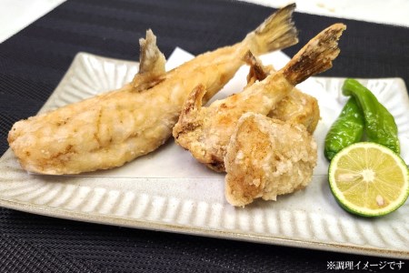 EF035【海の幸 よくばりセット】 生冷凍フグ1kg・お手軽たらばがに550g ＜数量限定＞