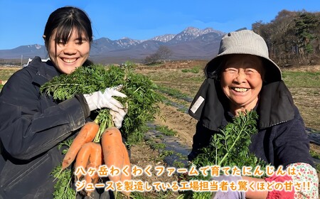 【先行予約】にんじんジュース 200ml 10本 にんじんのとりこ 甘くて 飲みやすい ストレート果汁 八ヶ岳わくわくファーム ※2026年8月上旬より順次発送