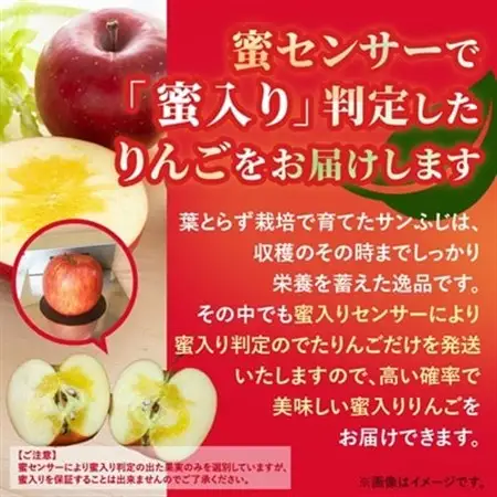 【甘くてみずみずしい】 りんご 葉取らずふじ 蜜入判定 約3kg (約9～12個) 青森市 産地直送_りんご 林檎 リンゴ ふじ フジ 果物 くだもの フルーツ 葉取らず 青森県 産地直送 送料無料 おすすめ 人気 お取り寄せ 贈答 ギフト プレゼント 常温 3kg_【配送不可地域：離島】【1085335】