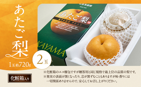 梨 2026年 先行予約 あたご梨 2玉 (1玉 約720g) 化粧箱【11月下旬～12月中旬頃発送】 ナシ なし 岡山県産 国産 フルーツ 果物 ギフト 石原果樹園 