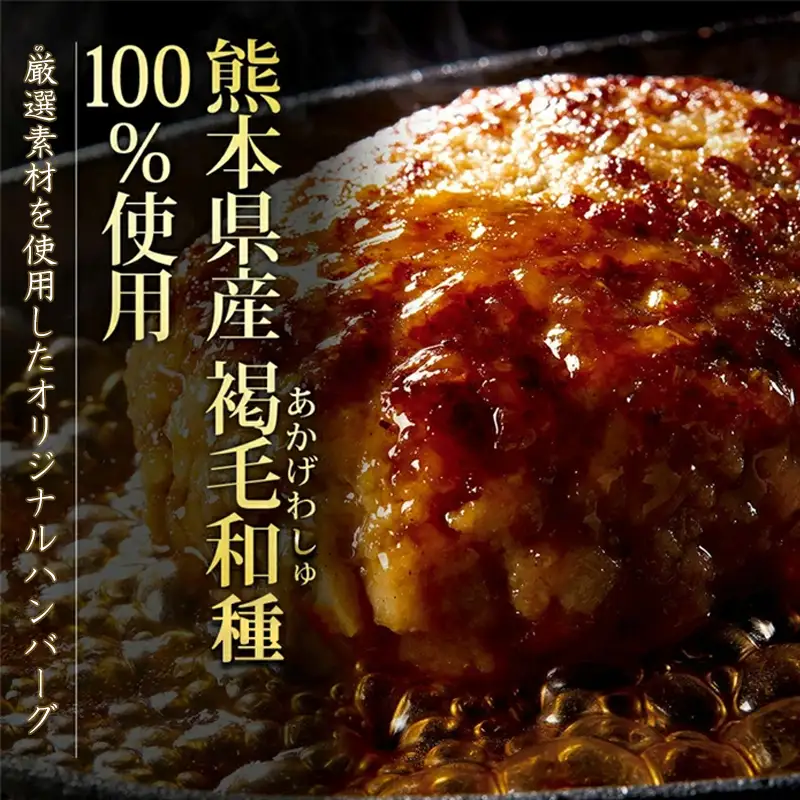 【阿蘇牧場】熊本県産あか牛ハンバーグ 150g×10個 計1.5kg 1500g 褐毛和種 赤牛 和牛100％ 大判 和牛ハンバーグ 小分け 個包装 焼くだけ簡単 冷凍 熊本 阿蘇 小国町 ふるさと納税