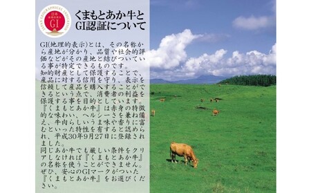 あか牛 ロースブロック 熊本県産 ステーキ あか牛【2kg】