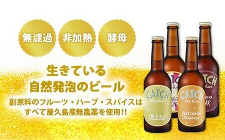 【定期便6ヶ月】屋久島・地ビール Catch the Beerおまかせビール4種12本セット
