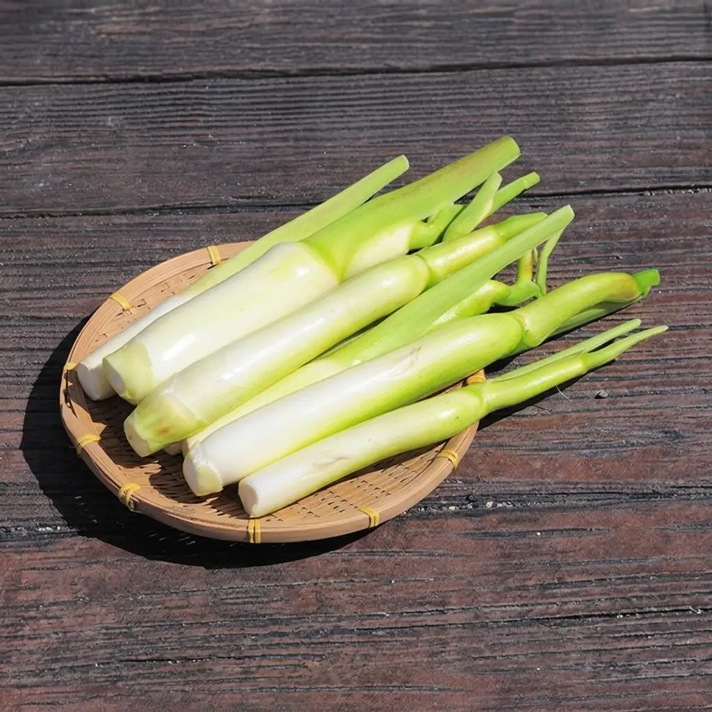 里庄 まこもたけ （1.8kg）【2026年10月上旬～2027年1月上旬出荷】 野菜 マコモダケ マコモ 中華料理 天ぷら 高級食材 送料無料 里庄町