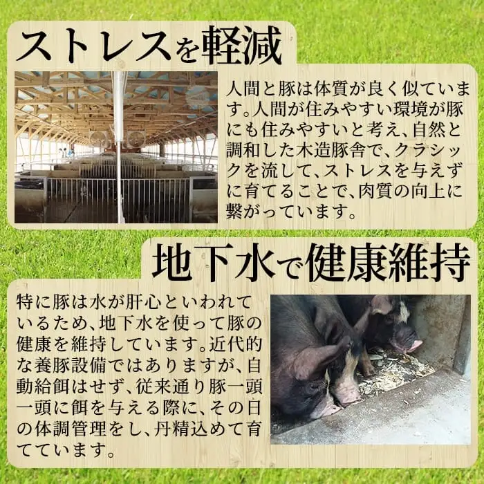 A-043 霧島高原純粋黒豚加工品セット(3種)【霧島高原ロイヤルポーク】霧島市 肉 豚肉 黒豚 餃子 味噌ステーキ ステーキ 加工品 総菜