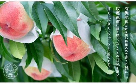 桃 飛騨のたからもも GH004 桃