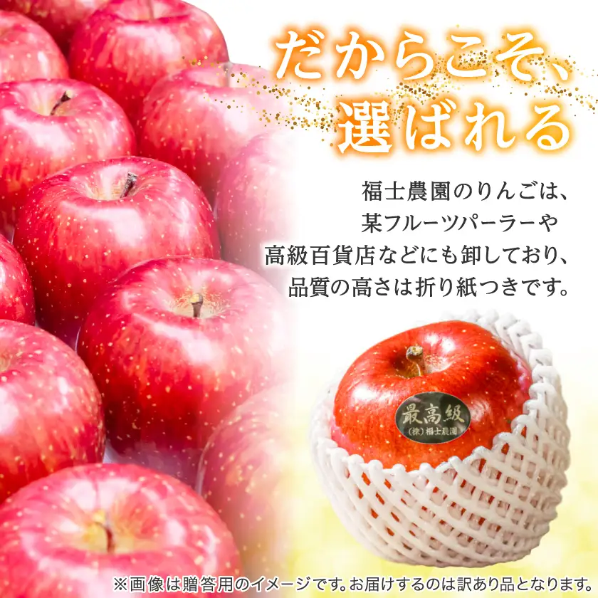 【りんご品評会最高賞】大玉 約5kg 糖度14度以上保証 訳あり 家庭用 りんご 「サンふじ」_果物・フルーツ りんご  リンゴ 林檎_【配送不可地域：離島】【1111237】