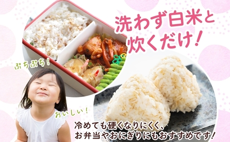 もち麦きらりもち雑穀新しのつ産北海道産もち麦【750g×2袋】【送料無料】