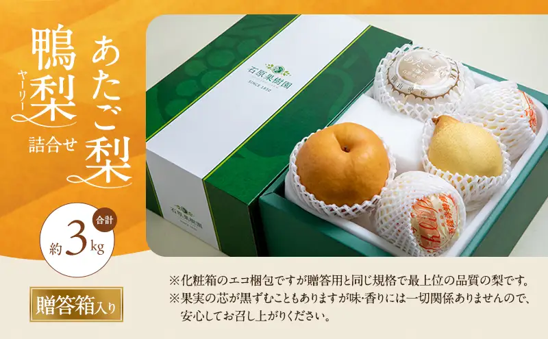 梨 2026年 先行予約 あたご梨・鴨梨（ヤーリー）詰合せ 合計約3kg  岡山県産 梨