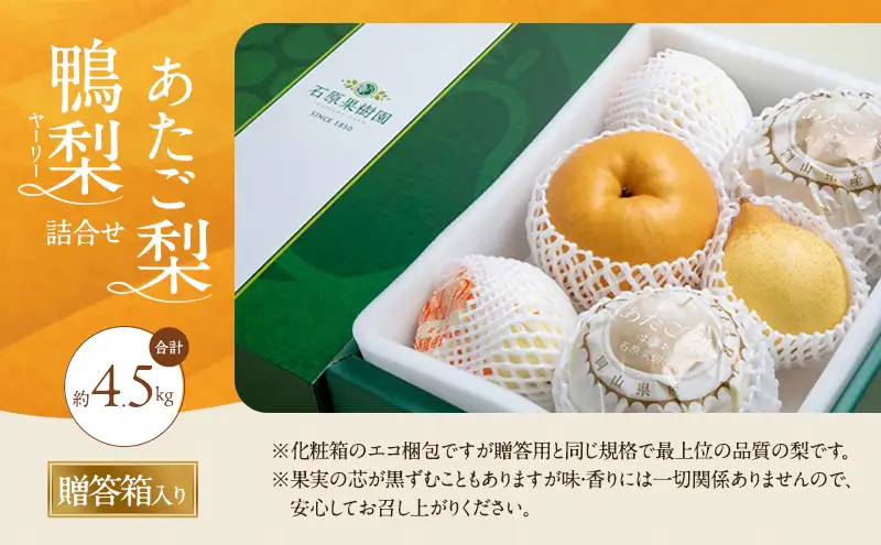 梨 2026年 先行予約 あたご梨・鴨梨（ヤーリー）詰合せ 合計約4.5kg  岡山県産 梨