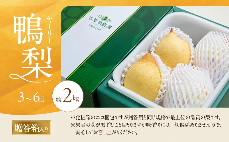 梨 2026年 先行予約 鴨梨（ヤーリー）3～6玉 合計約2kg 贈答箱  岡山県産 梨