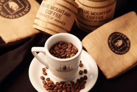 [自家焙煎レギュラーコーヒー] ブラジルサントス 400g×2袋入り(中挽き) 当社で焙煎仕立てのコーヒー豆をお届け！[1310]