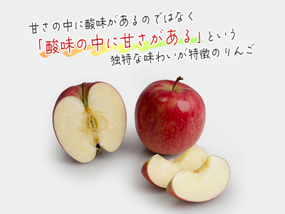 りんご ジョナゴールド 青森県産 ヒバリノ園 りんご【約5kg 12〜16玉】